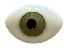 Eye